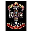 Guns N Roses Appetite For Destruction Fabric Poster